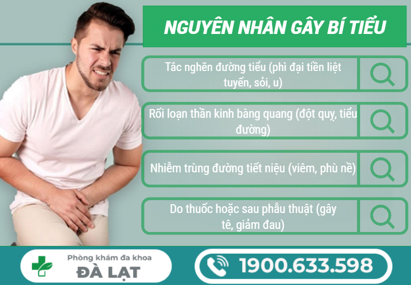 Hình ảnh minh họa